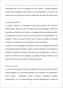 écrire un roman
